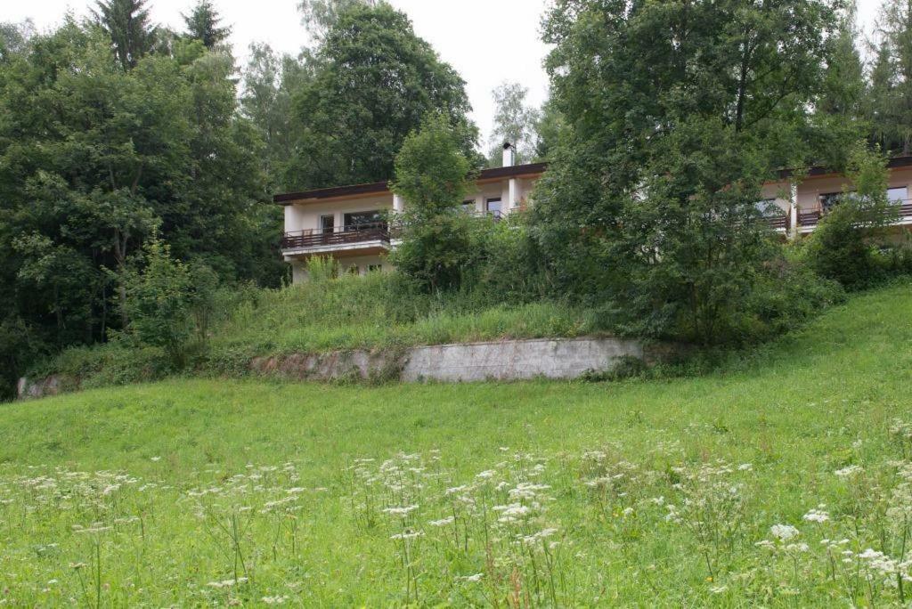 Birkenhof - Schimek Apartment Bürserberg Екстериор снимка