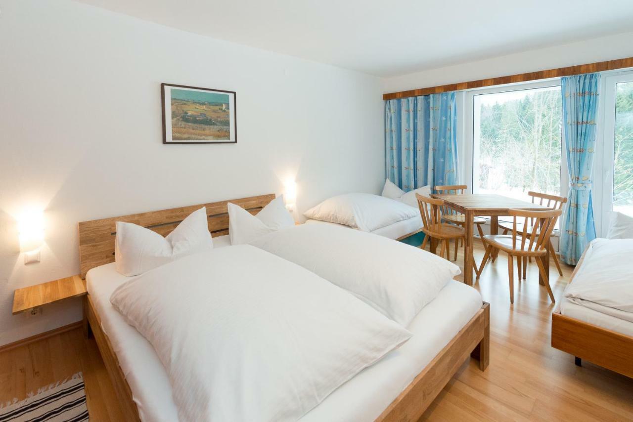 Birkenhof - Schimek Apartment Bürserberg Екстериор снимка
